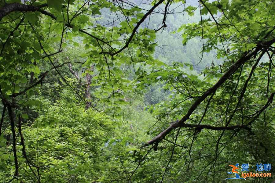 去长白山怎么玩，长白山自助游攻略，长白山游玩攻略？
