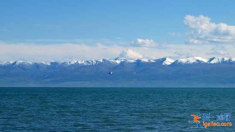 青海旅游几月份最好，青海最佳旅游时间，青海适合几月份去旅游？