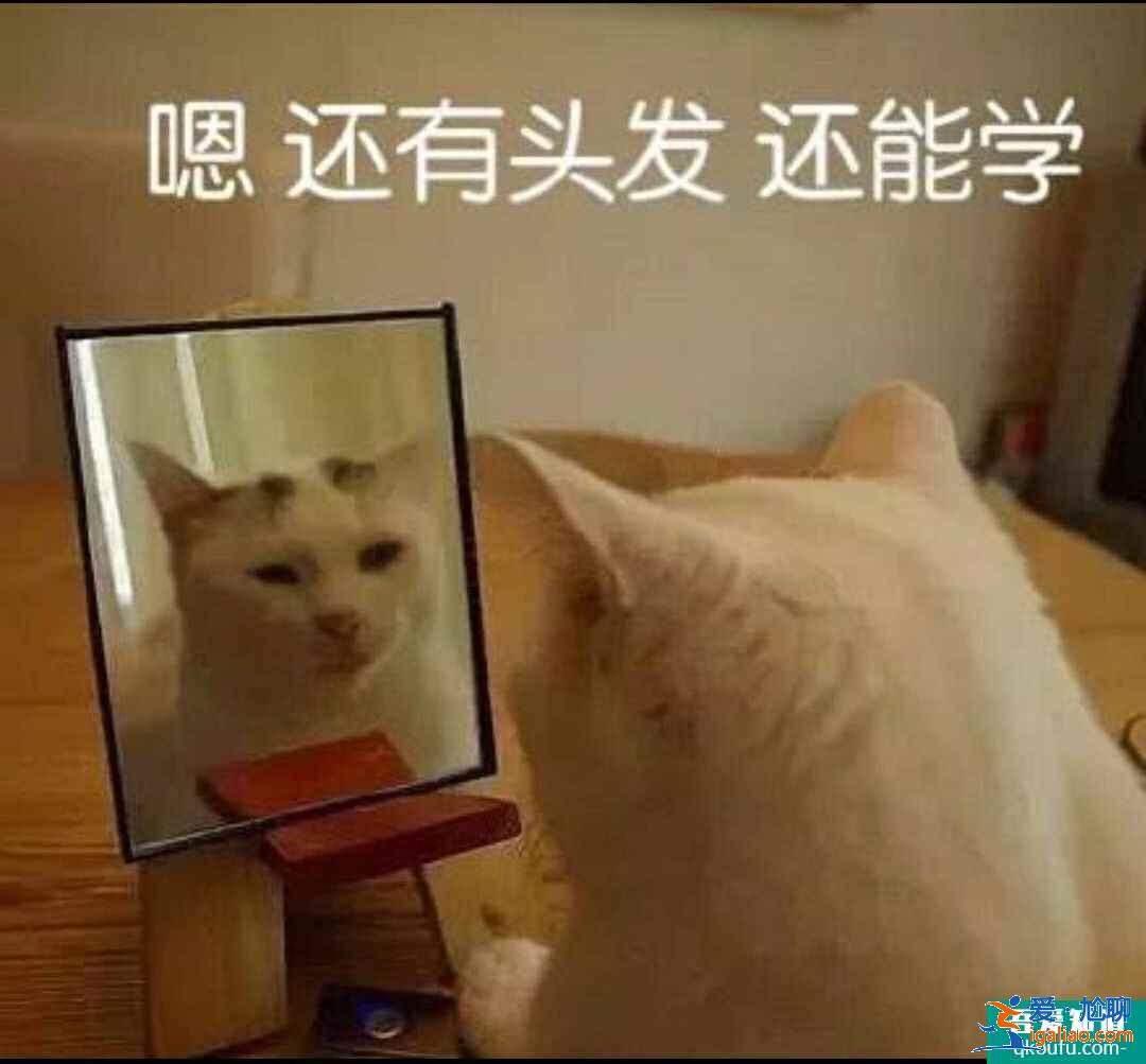 云顶之弈11.8版本推荐阵容九猩红魔神，云顶11.8版本赛季末冲分阵容介绍？