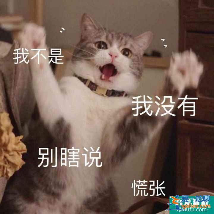 云顶之弈S5赛季推荐上分阵容复生魔女刺，云顶S5赛季上分阵容介绍？