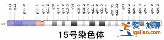 国内包生男孩价格表？