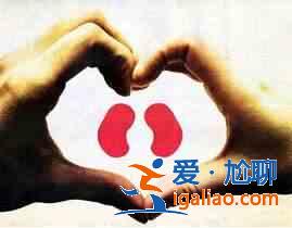 哪些食物有利于养肾？？