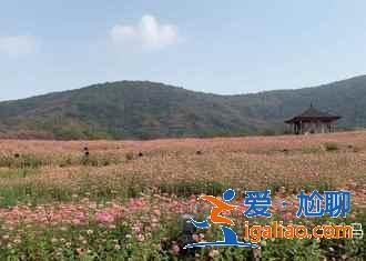 2019无锡雪浪山薰衣草住宿推荐，无锡雪浪山周边酒店？