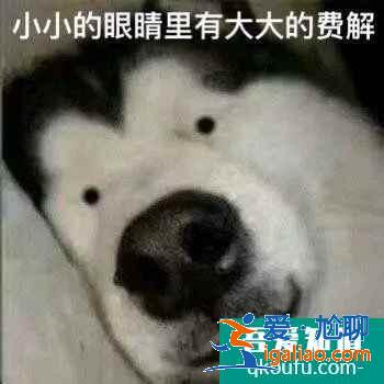 云顶之弈11.8版本推荐阵容七法龙王，云顶11.8版本赛季末冲分阵容介绍？