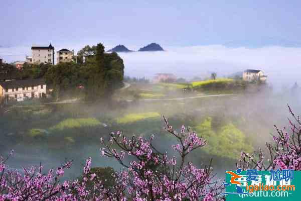 2021舟山桃花岛门票多少钱一张 舟山桃花岛几月份去最好？