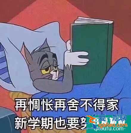 云顶之弈11.8版本推荐阵容神盾霞，云顶11.8版本赛季末冲分阵容介绍？
