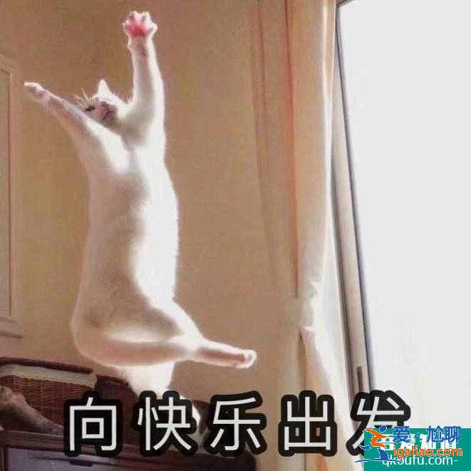 云顶之弈11.8版本推荐阵容七法龙王，云顶11.8版本赛季末冲分阵容介绍？