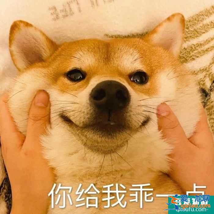 云顶之弈11.8版本推荐阵容宗师忍刺，云顶11.8版本赛季末冲分阵容介绍？