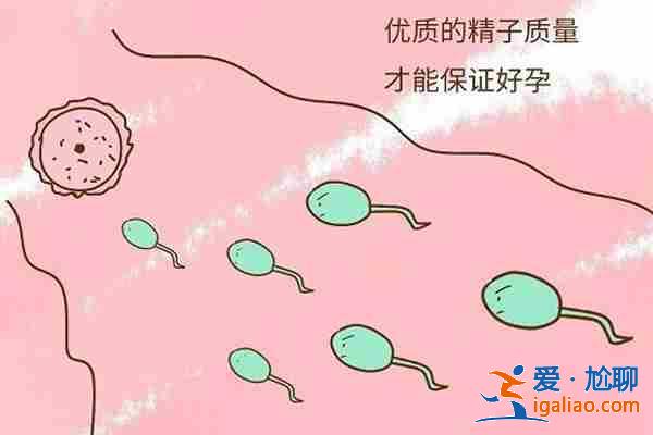 解说试管助孕费用多少（实力保障）？