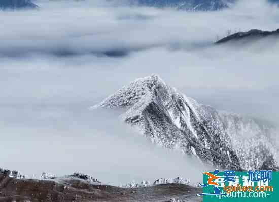 2021牛背山五一开放吗 牛背山开放时间？