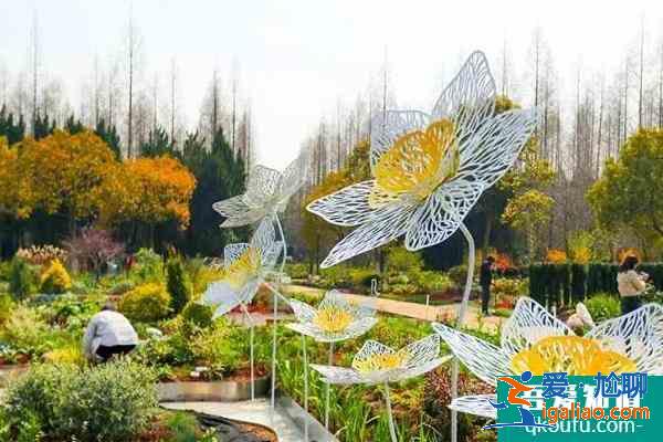 2021上海崇明赏花路线？
