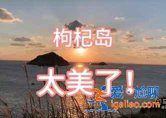 舟山到枸杞岛要多久，舟山到枸杞岛船票价格？