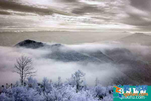 重庆哪里雪景最美 重庆冬天旅游好去处？