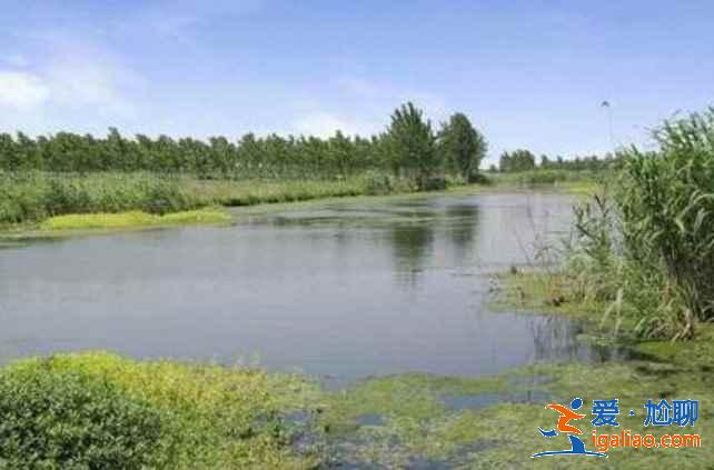 乌镇有什么人少又好玩的景点,乌镇小众景点攻略? 乌镇有什么人少又好玩的景点,乌镇小众景点攻略?