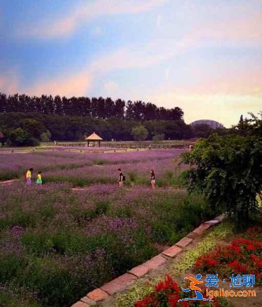 乌镇有什么人少又好玩的景点,乌镇小众景点攻略? 乌镇有什么人少又好玩的景点,乌镇小众景点攻略?