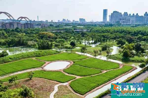 2021海珠湿地公园门票预约 海珠湿地公园怎么去？