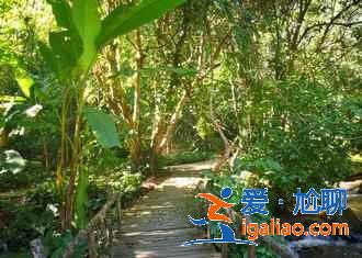 几月份去云南旅游最好，一年四季分别适合去云南哪里，云南旅游月历？