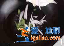 金针菇炒鸡丝怎么做？？