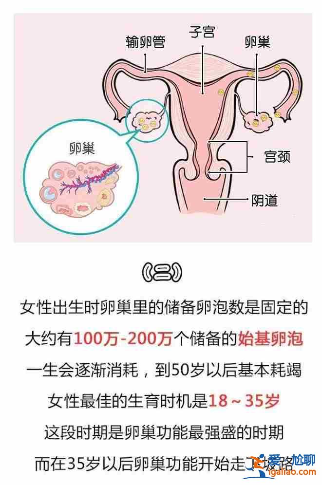 代生孩子补偿_实现儿女双全的助孕公司？