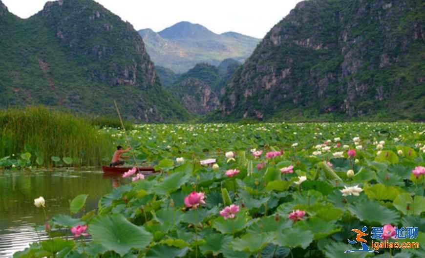 几月份去云南旅游最好，一年四季分别适合去云南哪里，云南旅游月历？