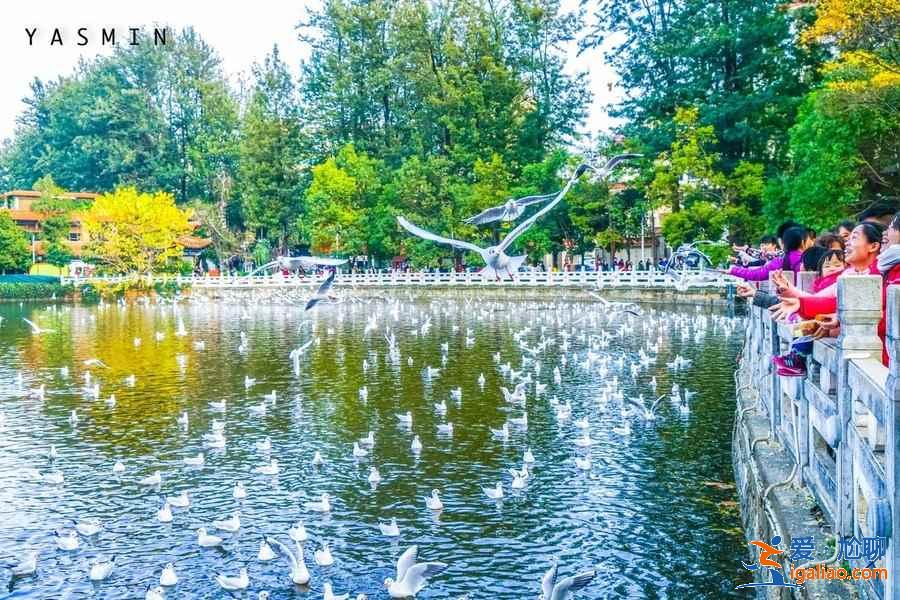 几月份去云南旅游最好，一年四季分别适合去云南哪里，云南旅游月历？