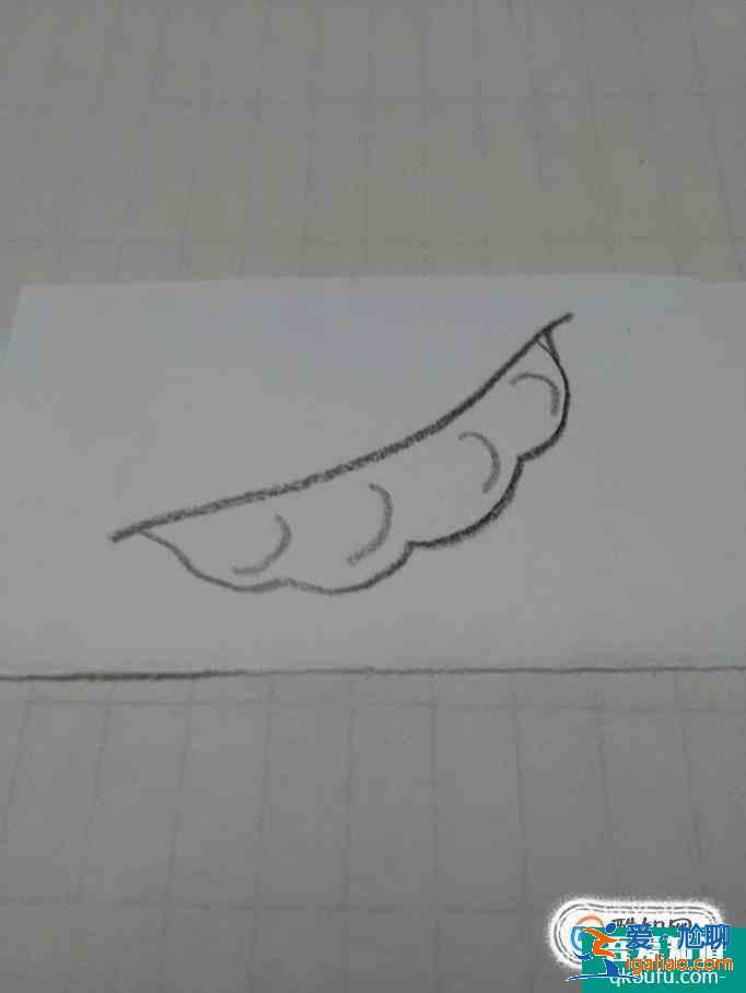 画豆角的简笔画？