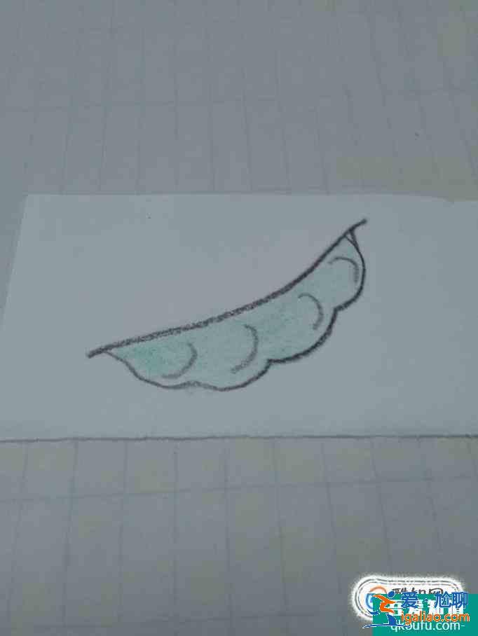 画豆角的简笔画？