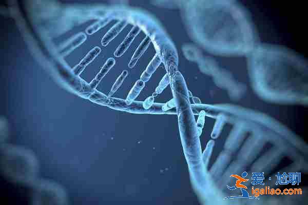 重庆代怀生宝宝? 重庆代怀生宝宝?