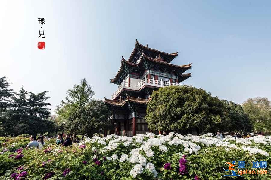洛阳免费景点推荐，洛阳有哪些免费景点？