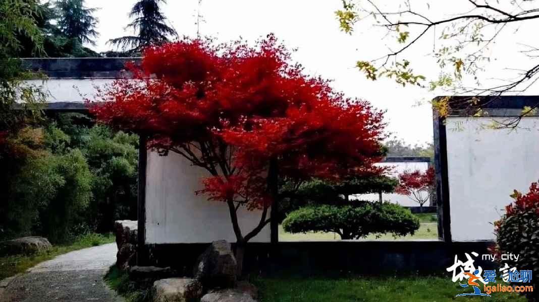 洛阳免费景点推荐，洛阳有哪些免费景点？