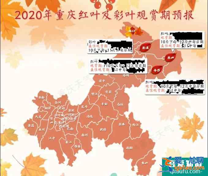 重庆红叶景区有哪些地方 2020重庆红叶观赏预期图？
