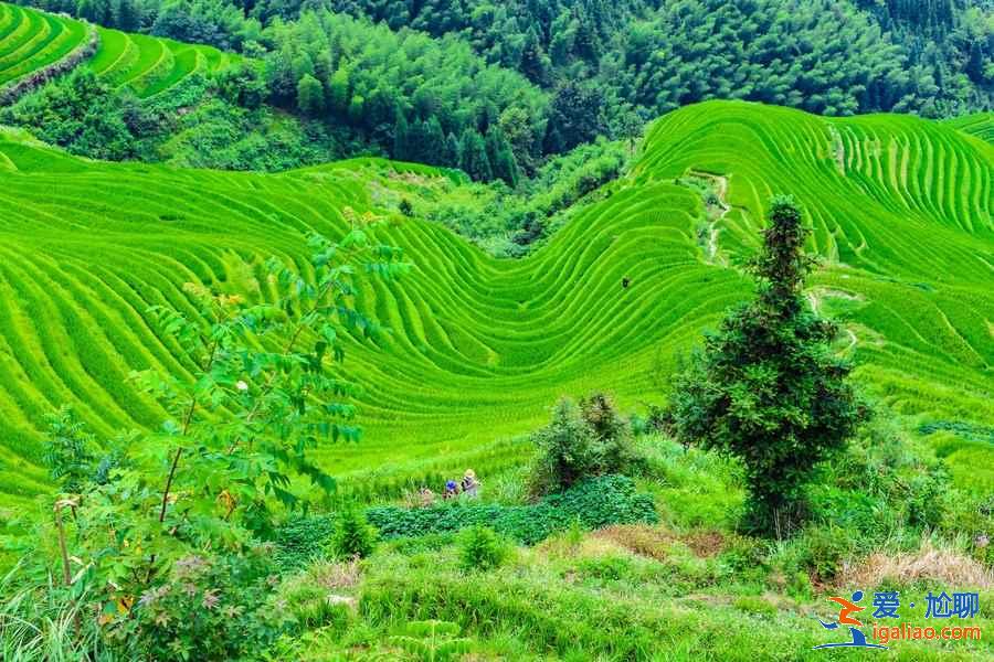 桂林有什么好玩的，桂林好玩吗，桂林旅游必去景点？