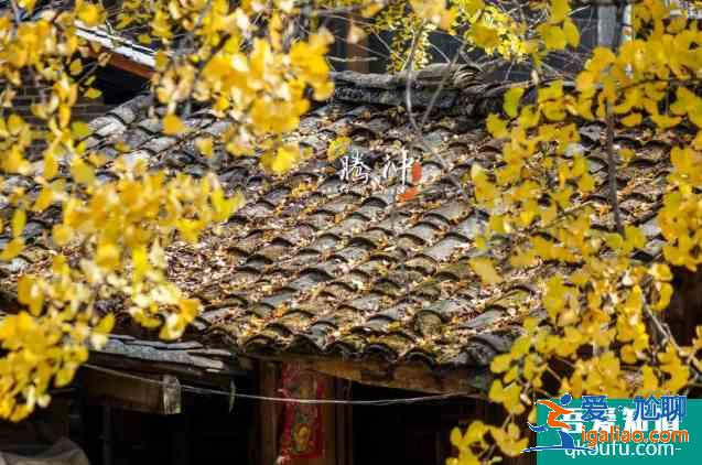 冬天去什么地方旅游好？
