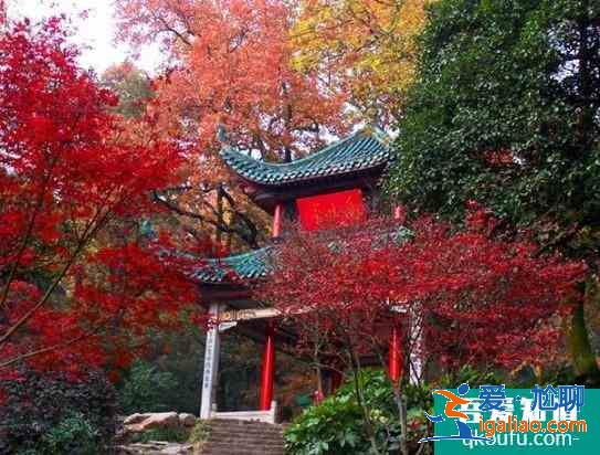 2020长沙岳麓山游玩攻略 岳麓山枫叶什么时候变红？