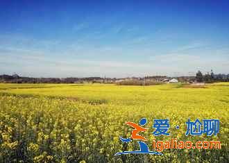 云南情侣旅游必体验，云南情侣游攻略？