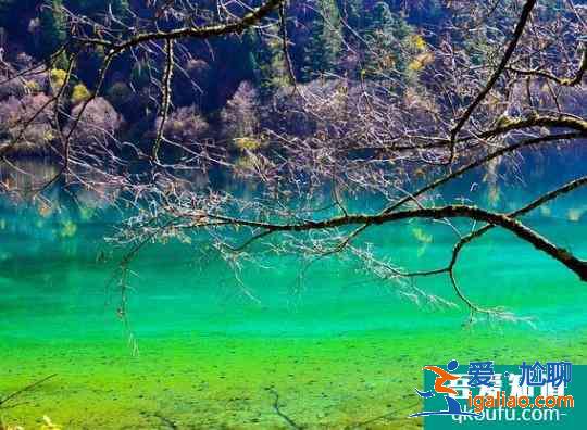 2020九寨沟11月份能去吗 及九寨沟旅游攻略？
