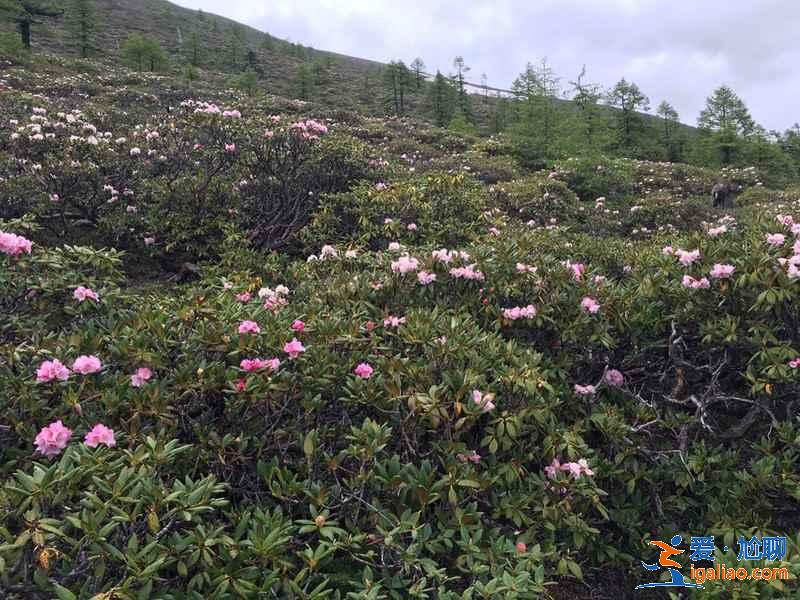 国家地理杂志中的云南风景？