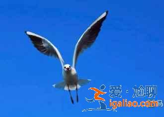 国家地理杂志中的云南风景？