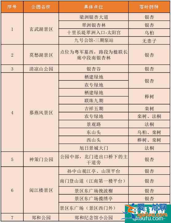 南京银杏树哪里最好看？