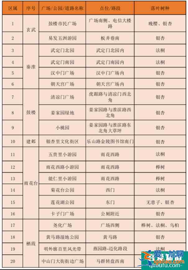 南京银杏树哪里最好看？