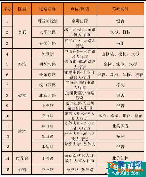 南京银杏树哪里最好看？