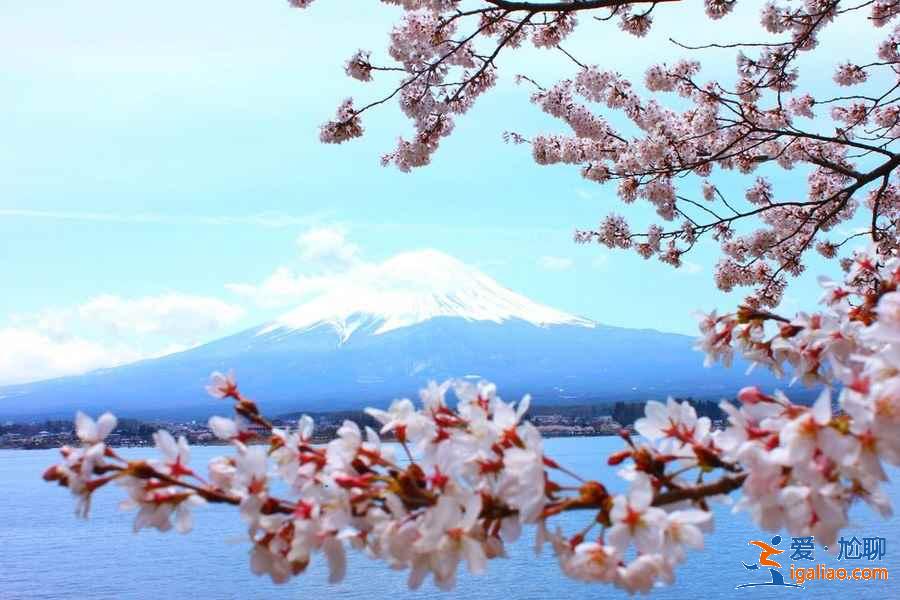 富士山在日本哪个城市，富士山在东京吗？