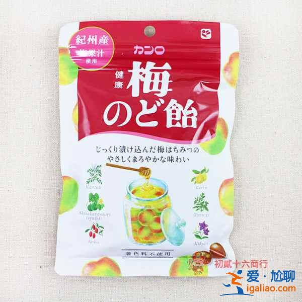 日本好吃的零食推荐，去日本必吃的十款零食？