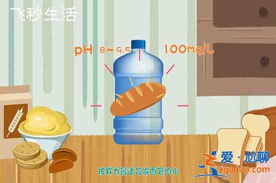 做面包加多少水合适？