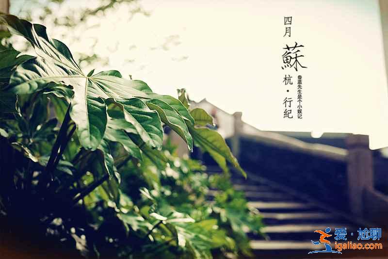 【苏州二日游怎么玩】苏州2日游最佳路线，苏州两日游攻略？