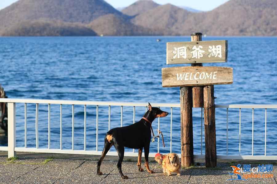 北海道四日游怎么玩？北海道四日游怎么安排？北海道四日游玩攻略？
