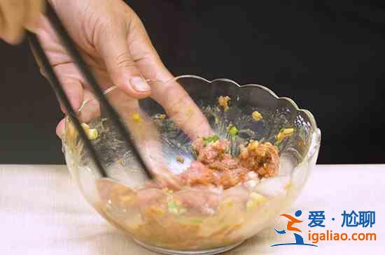 肉丸子怎么做? 肉丸子怎么做?