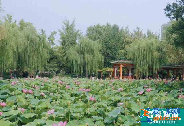 石家庄平安公园好玩吗？