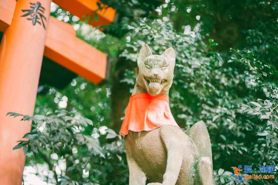 日本关西七日游怎么玩，日本关西七日游路线推荐，日本七日游游玩攻略？