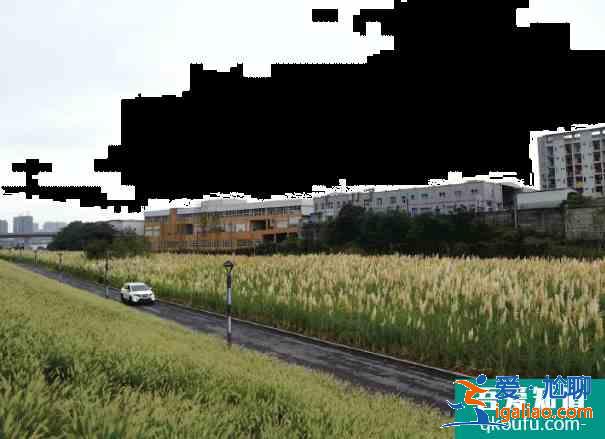 重庆草海湾公园在哪里？
